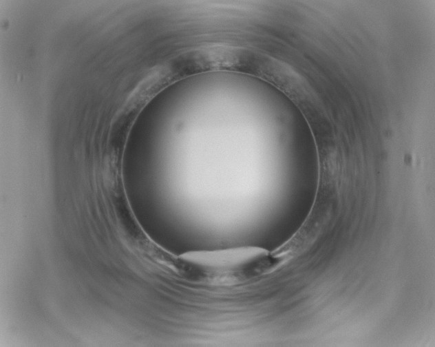 X0000070240218200606051133