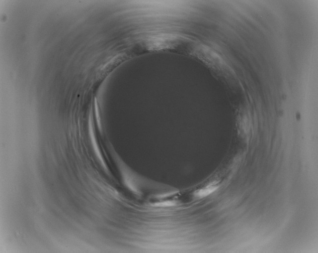 X0000070240219200606051133