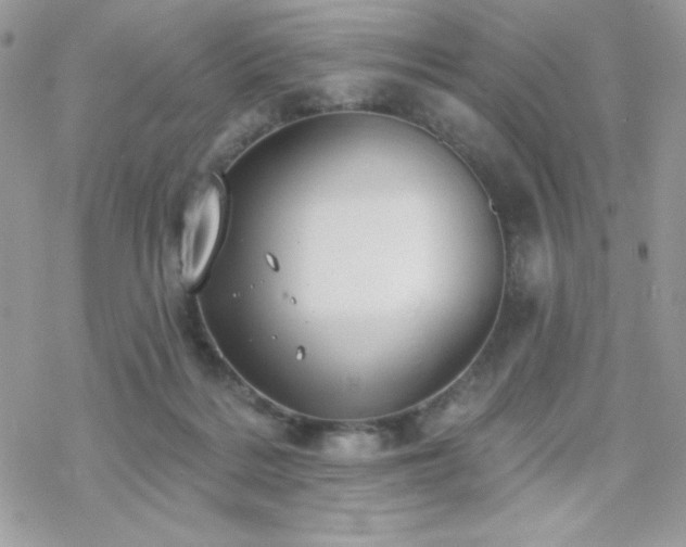 X0000070240220200606051133