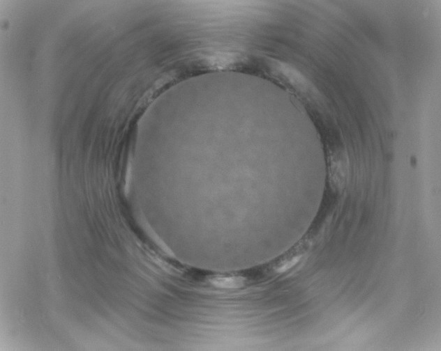 X0000070240221200606051133