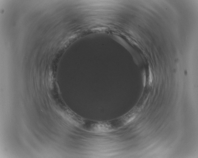 X0000070240223200606051133