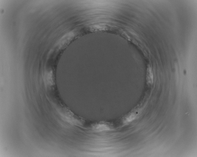 X0000070240224200606051133