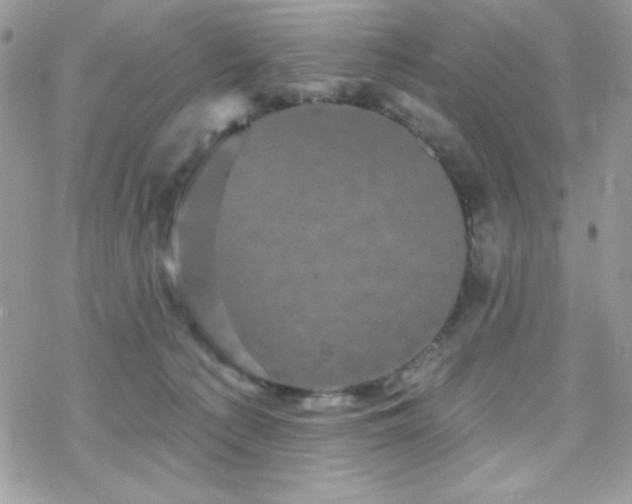 X0000070240225200606051133