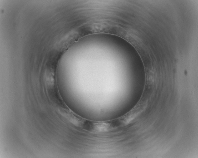 X0000070240226200606051133