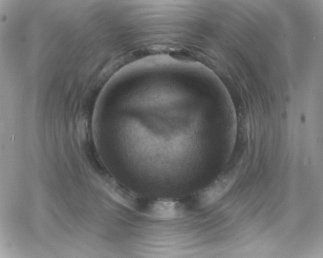 X0000070240227200606051133