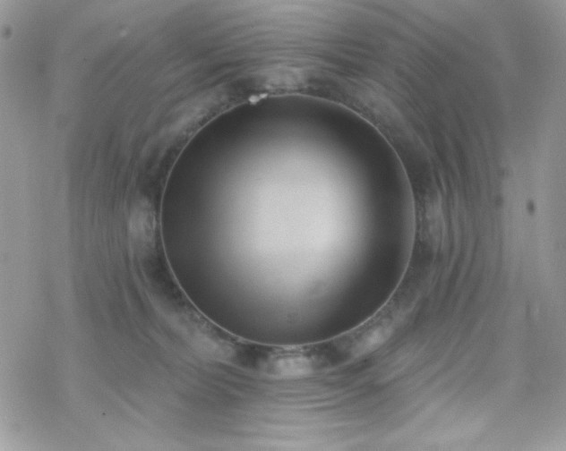 X0000070240228200606051133