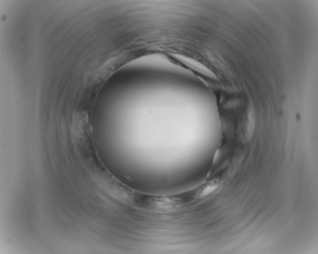 X0000070240229200606051133