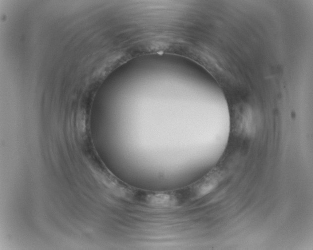 X0000070240230200606051133