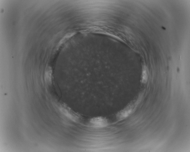 X0000070240231200606051133