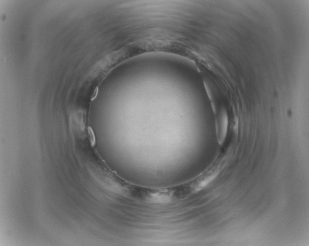 X0000070240232200606051133