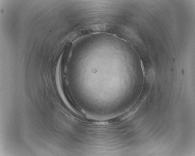 X0000070240233200606051133