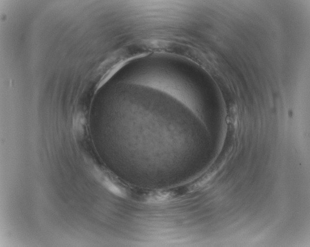 X0000070240235200606051133