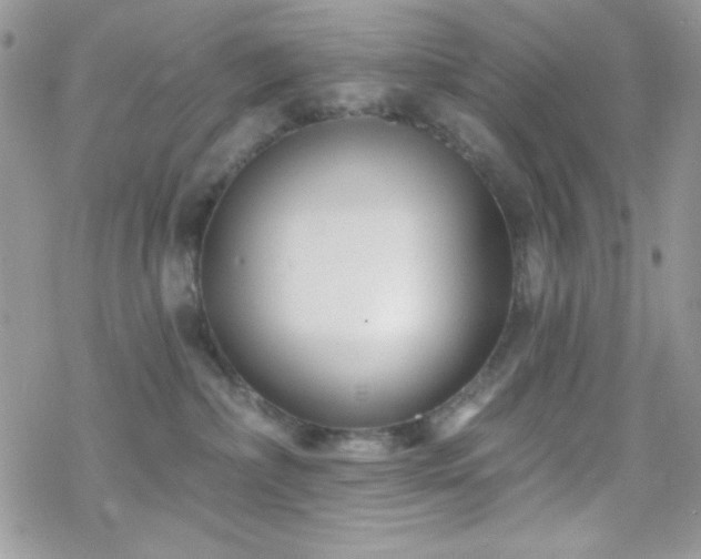 X0000070240236200606051133