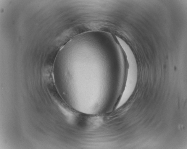 X0000070240237200606051133