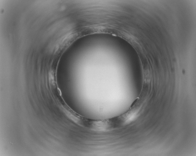 X0000070240238200606051133