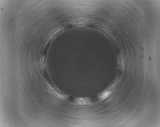 X0000070240239200606051133