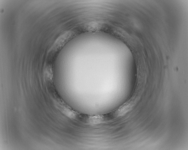 X0000070240240200606051133