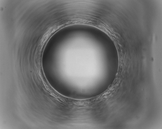 X0000070240241200606051132