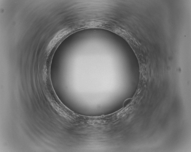 X0000070240242200606051132