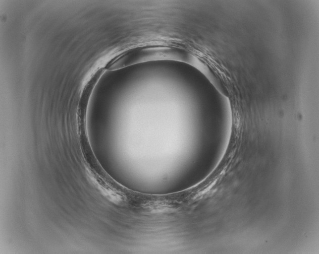 X0000070240244200606051132