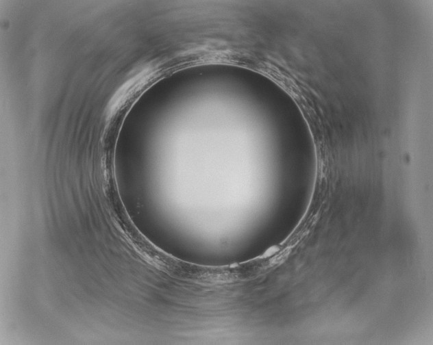 X0000070240245200606051132