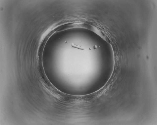 X0000070240246200606051132