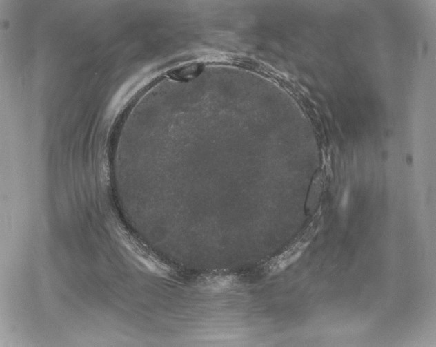 X0000070240247200606051132