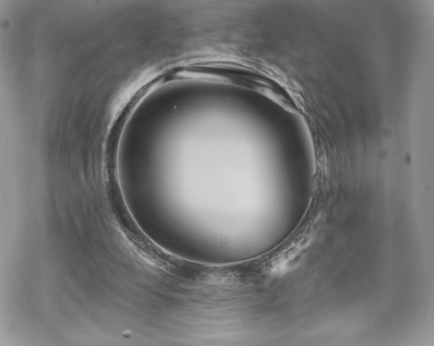 X0000070240248200606051132