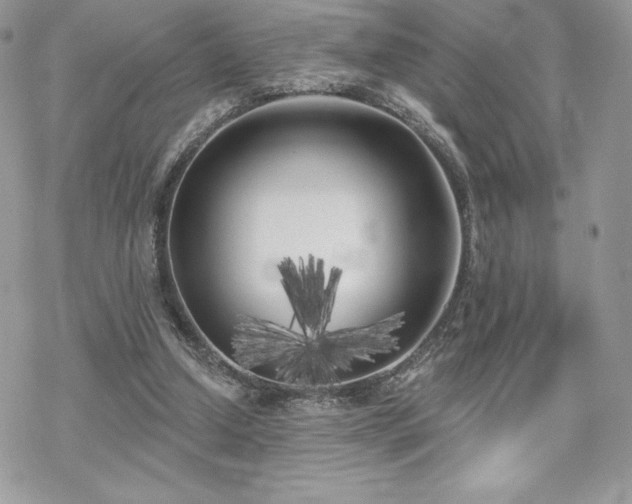 X0000070240250200606051132