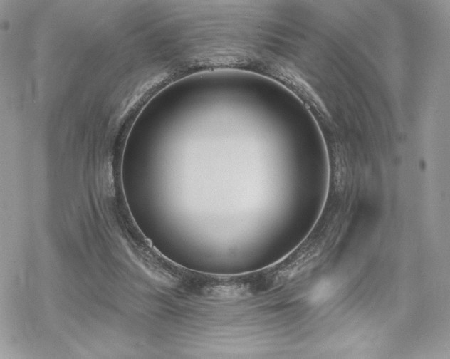 X0000070240251200606051132