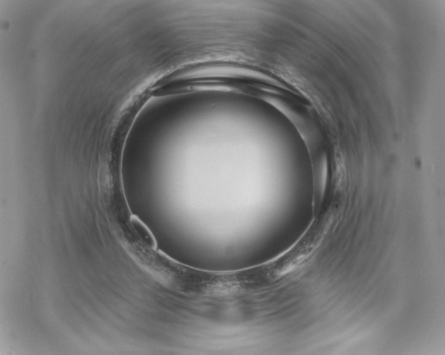 X0000070240252200606051132