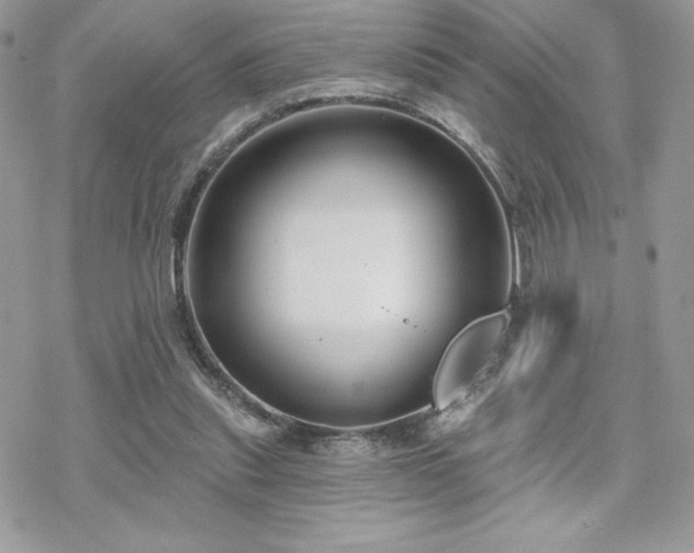 X0000070240253200606051132