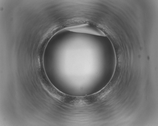 X0000070240254200606051132