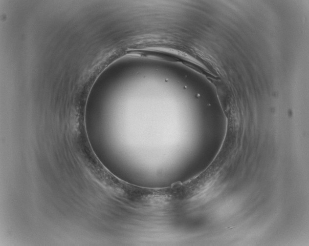 X0000070240255200606051132