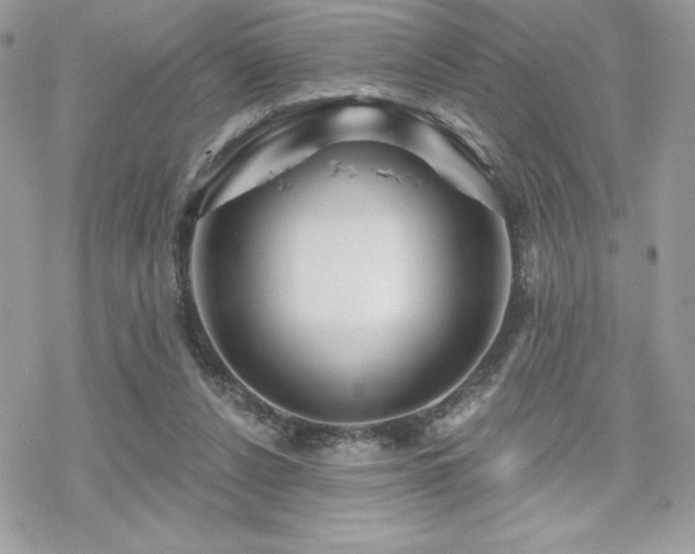 X0000070240256200606051132