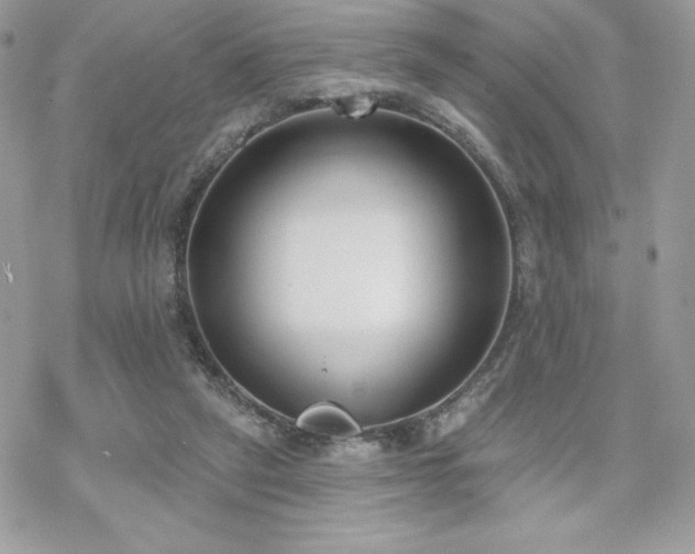 X0000070240257200606051132