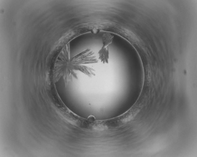 X0000070240258200606051132