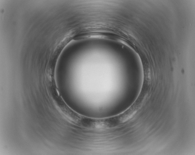 X0000070240264200606051132