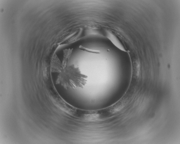 X0000070240266200606051132