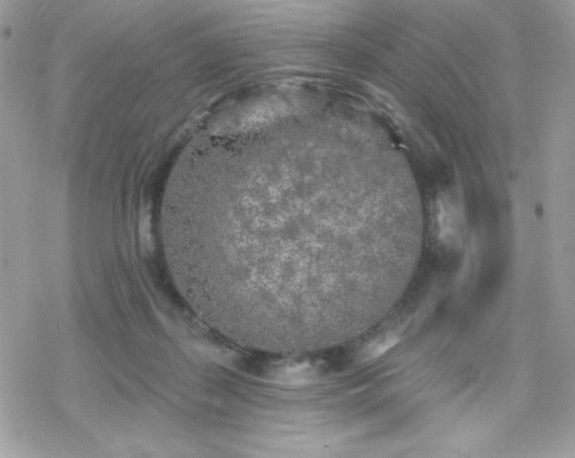 X0000070240267200606051132