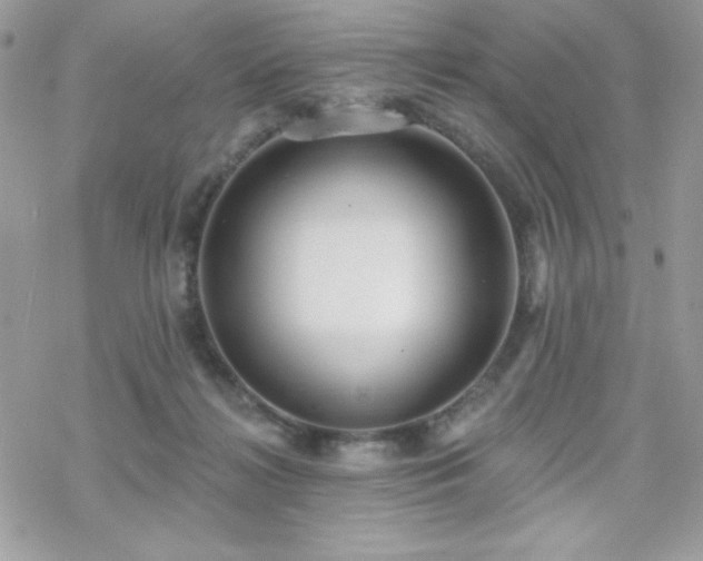 X0000070240268200606051132