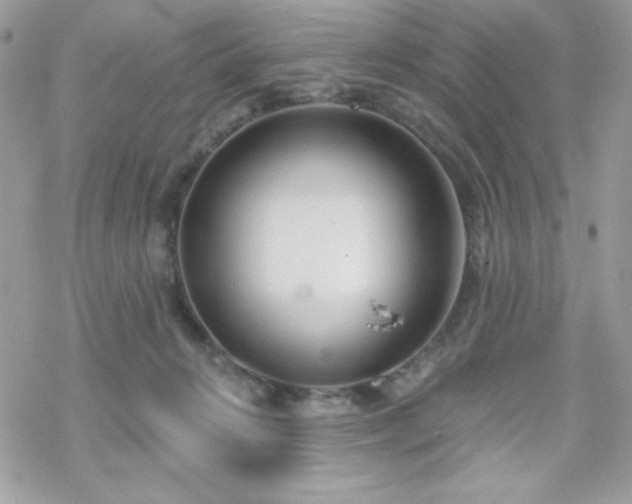 X0000070240270200606051132