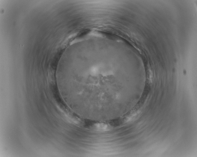 X0000070240272200606051132