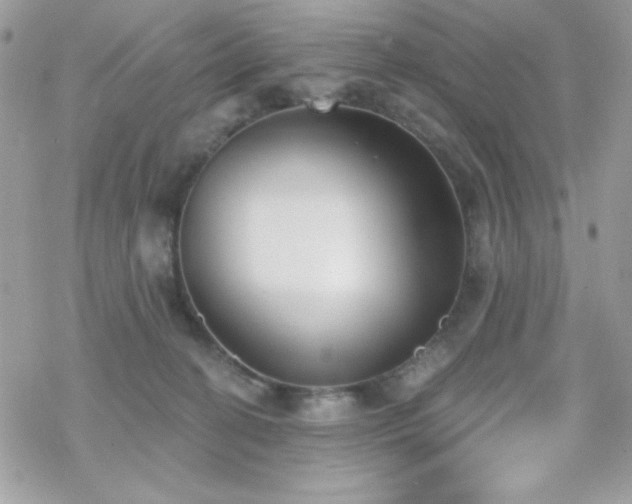 X0000070240274200606051132