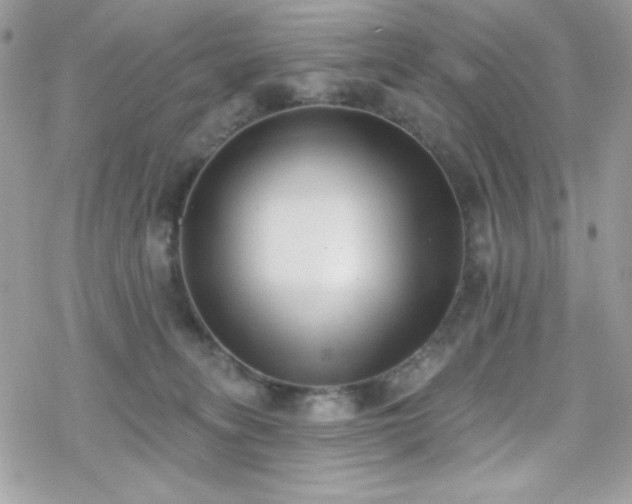 X0000070240275200606051132