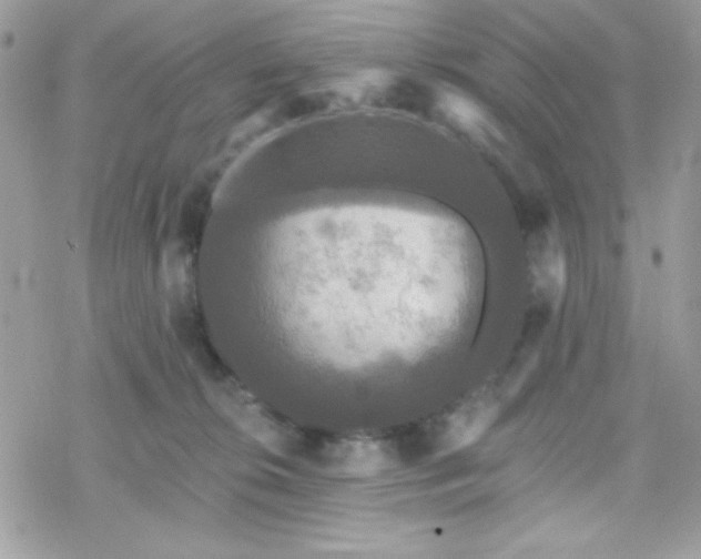 X0000070240276200606051132