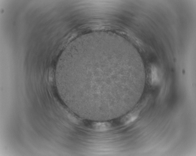 X0000070240277200606051132