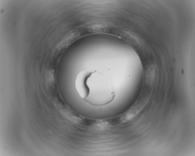 X0000070240278200606051132