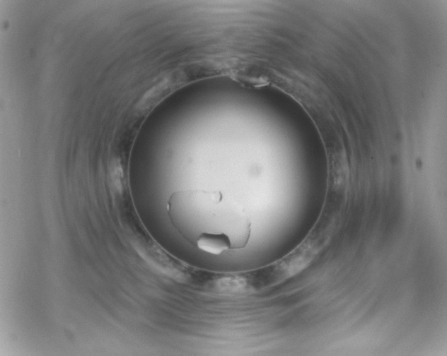 X0000070240279200606051132