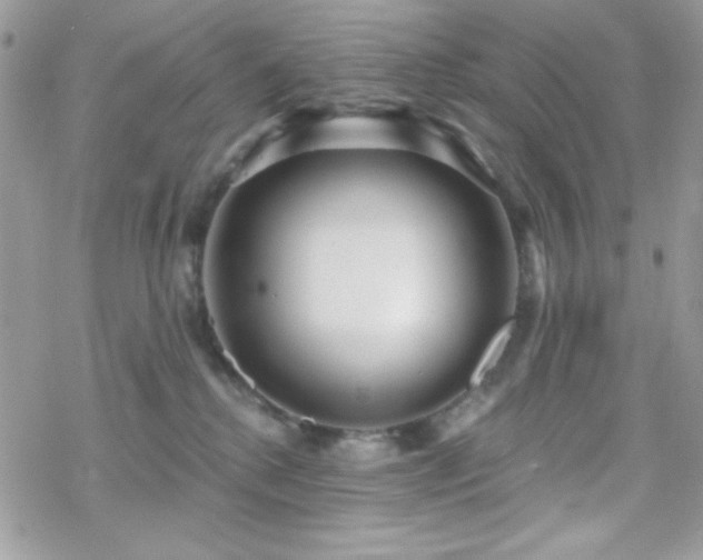 X0000070240280200606051132